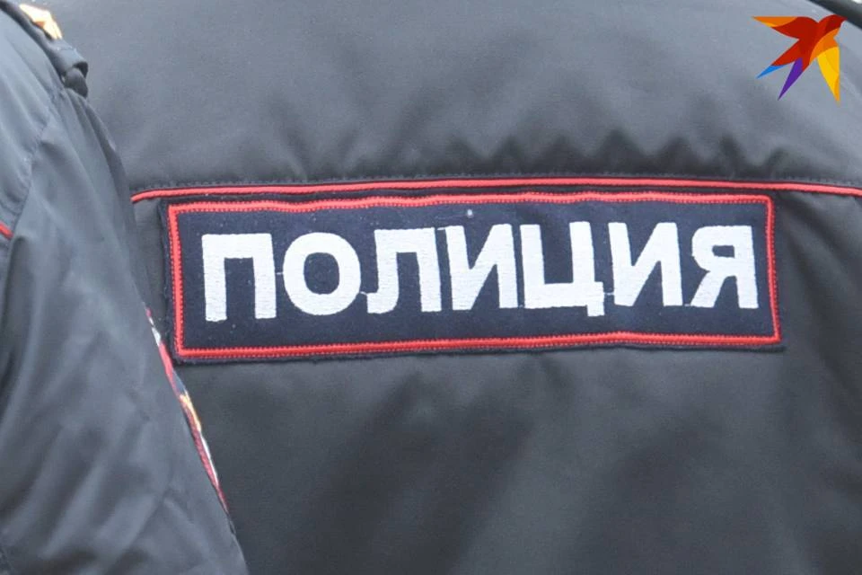 Северянин обматерил полицейских и ударил одного из них.