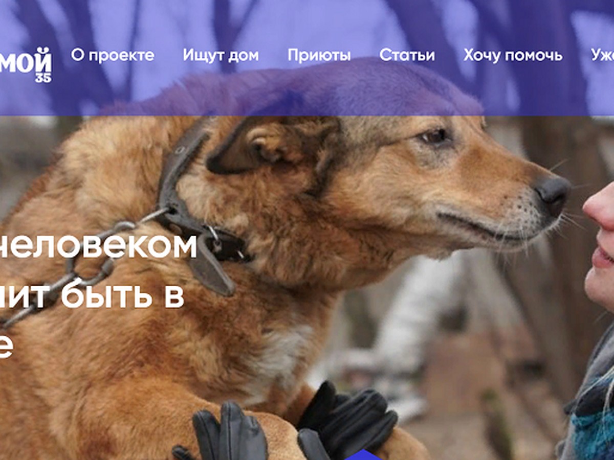 Выкладывают Фотографии Без Разрешения