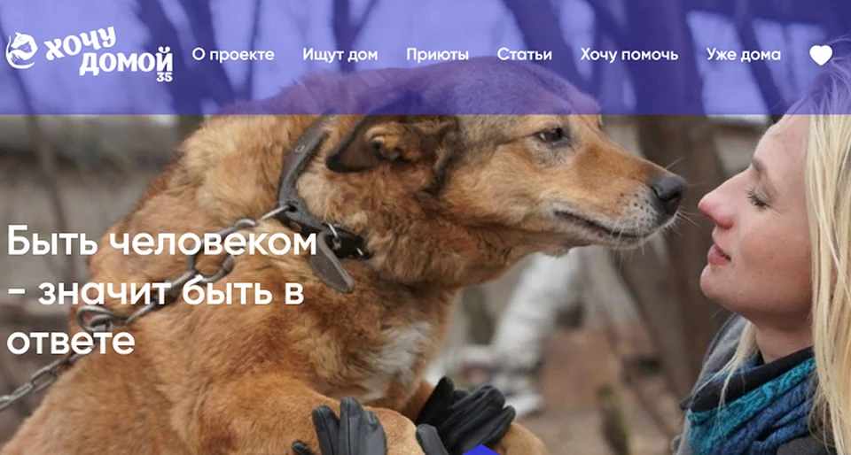 Выбрать питомца стало легче благодаря сайту.