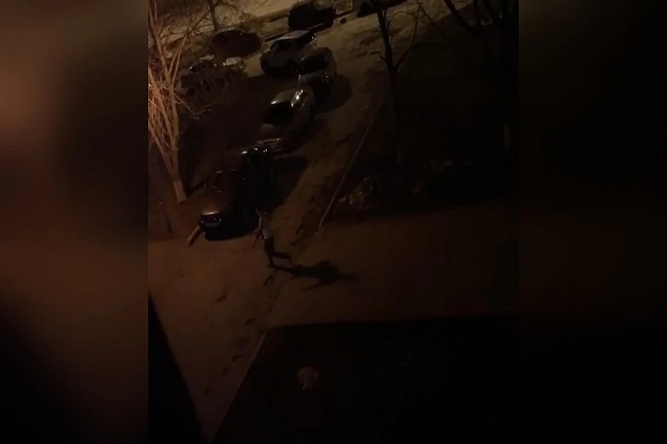 Мужчина с автоматом устроил ночной переполох в пятом квартале Автограда