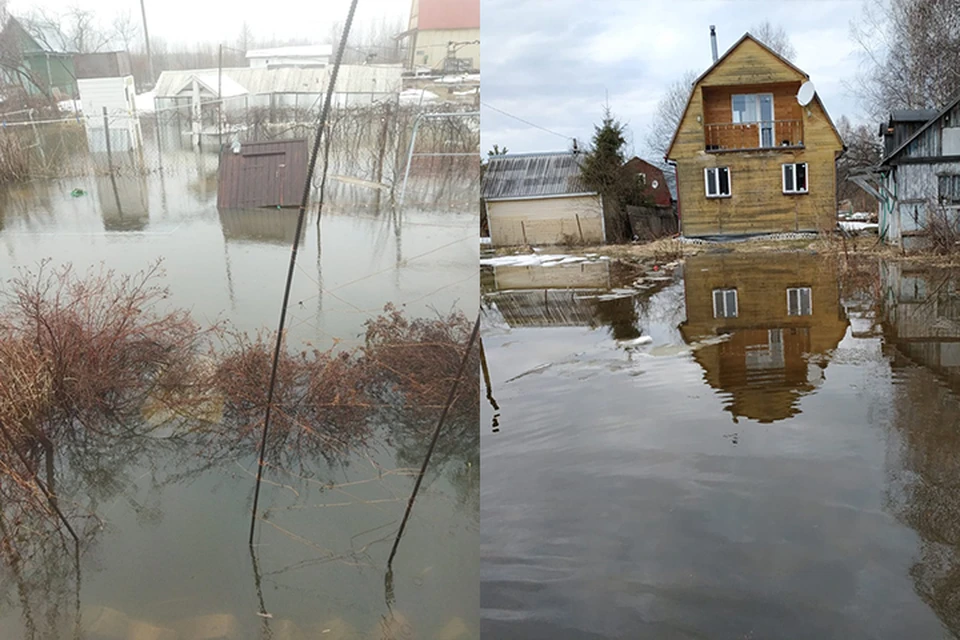 Дачники и жители жалуются, что в результате подтопления, портится имущество Фото: vk.com/public96096636 ("Конаково- наш город")