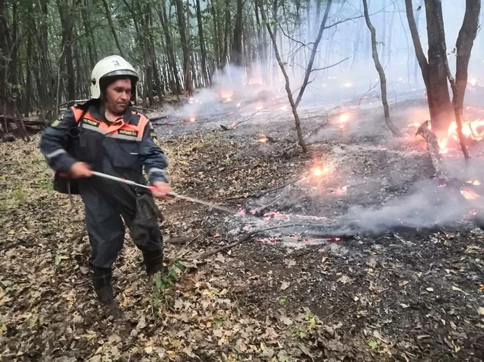 В 2021 году борьба с лесными пожарами в Самарской области потребовала немало сил. Фото: ГУ МЧС Самарской области