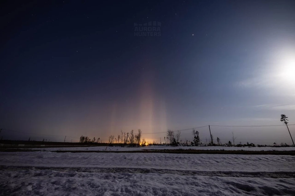 В Ленобласти вырос "световой лес". Фото: t.me/astrophotoboloto