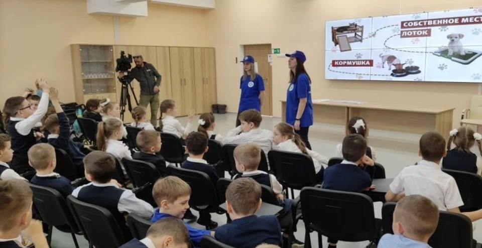 севастополь урок