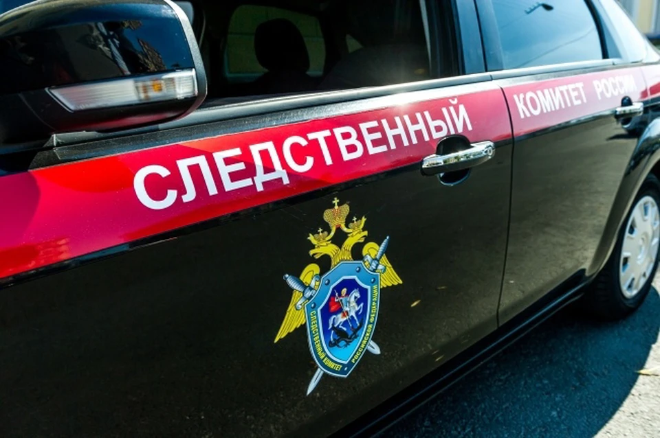 В Сычевском районе бревно упало на водителя грузовика.