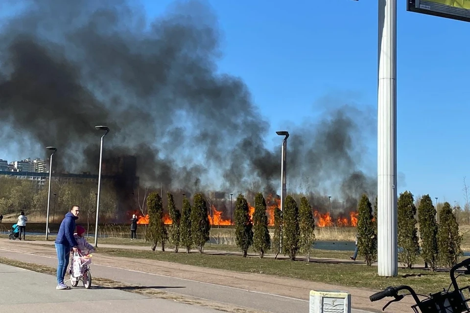 Оз горит. Пожар на озере. Пожар на пляже. Пожар на Комендантском проспекте. Пожар в Подлипках.