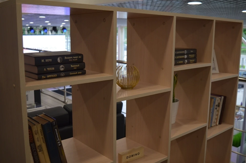 Орловцам предложили собрать книги на русском языке для детей Донбасса