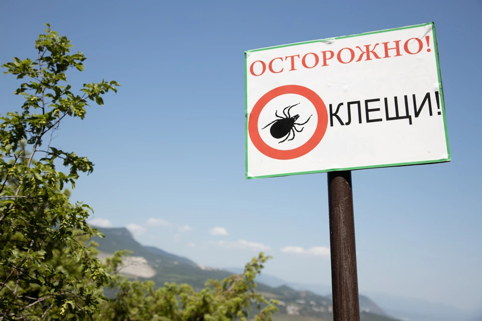 В Краснодарском крае начался сезон активности клещей.
