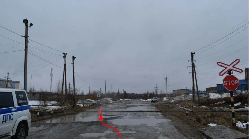 Фото: управление ГИБДД по Коми
