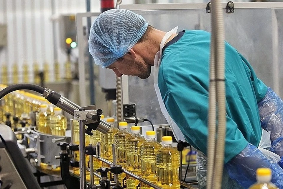 Кубанские производители проходят обучение по программе «Акселератор экспортного роста». Фото: пресс-служба администрации Краснодарского края.