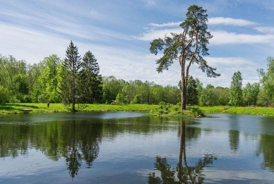 Торжокская красавица. Фото: предоставлено ПТО