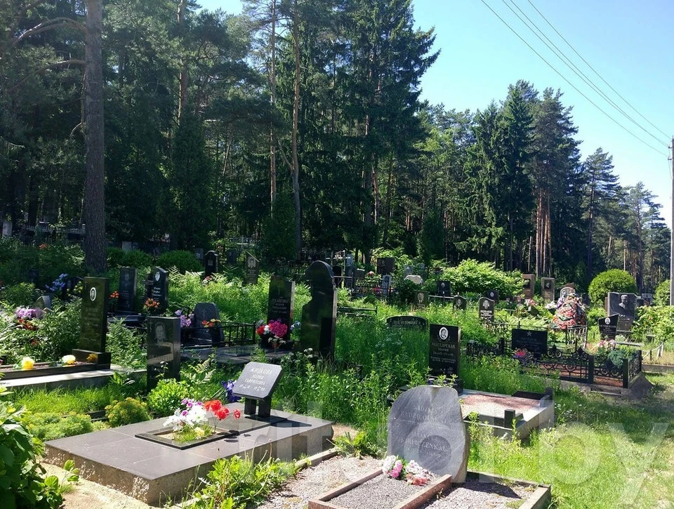 Пособие на похороны призвано покрыть основные расходы на погребение. Фото: ritual.by