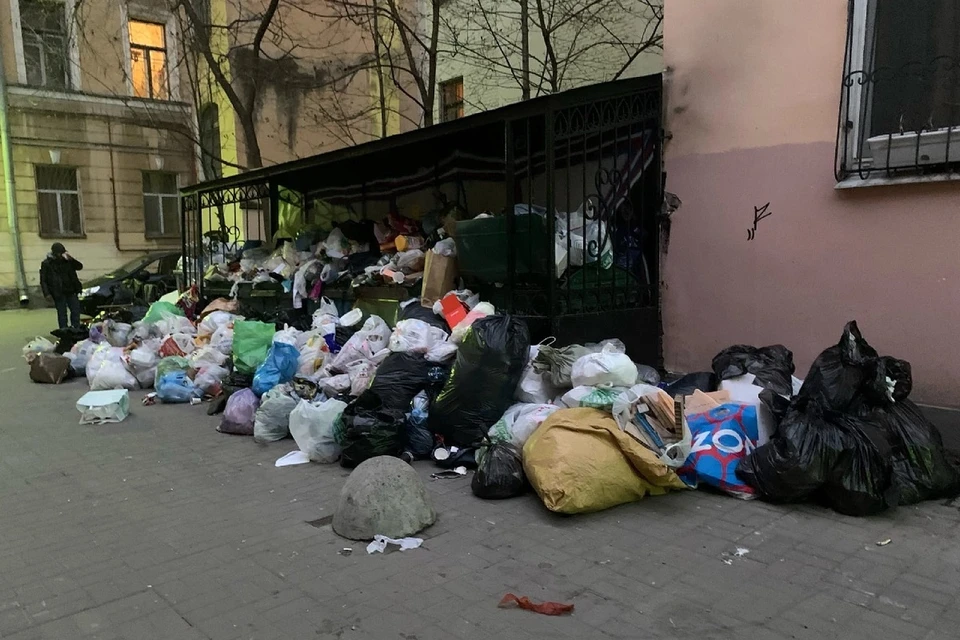 В центре Петербурга снова проблемы с мусором. Фото: vk.com/mytndvor