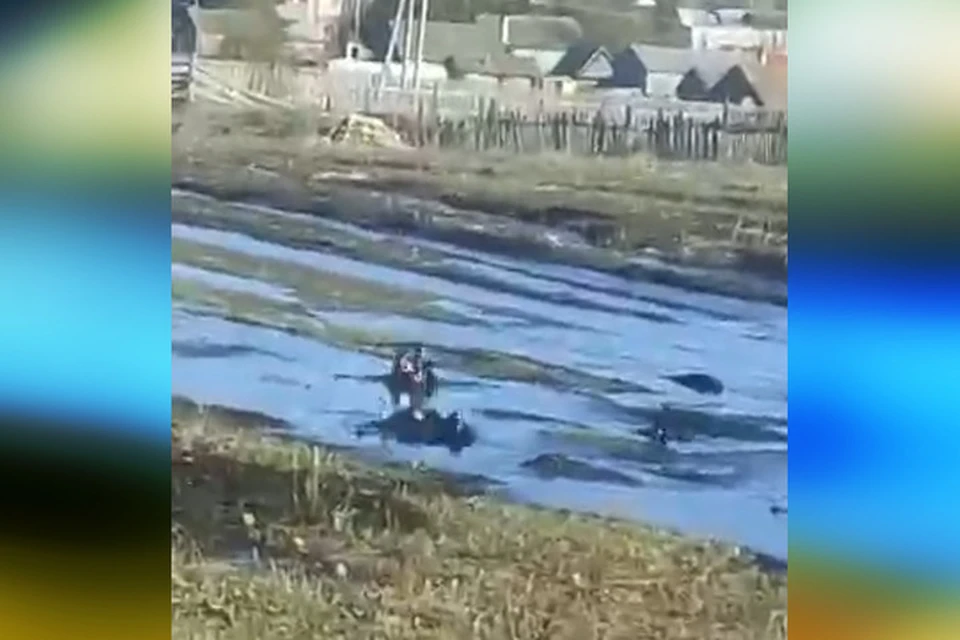 Фото: Зеленый щит Башкортостана Куш-Тау