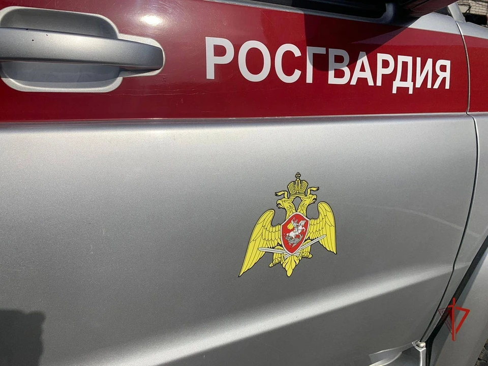 Находясь на вечернем патрулировании сотрудники вневедомственной охраны заметили подозрительного мужчину. Фото: Росгвардия по Томской области