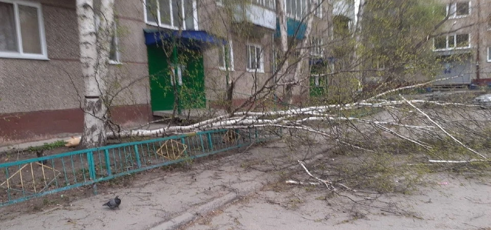 Фото: телеграм-канал «Регион-70».