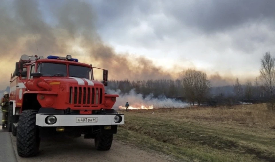 В Рославльском районе 23 человека тушили лесной пожар. Фото: пресс-служба ГУ МЧС по Смоленской области.