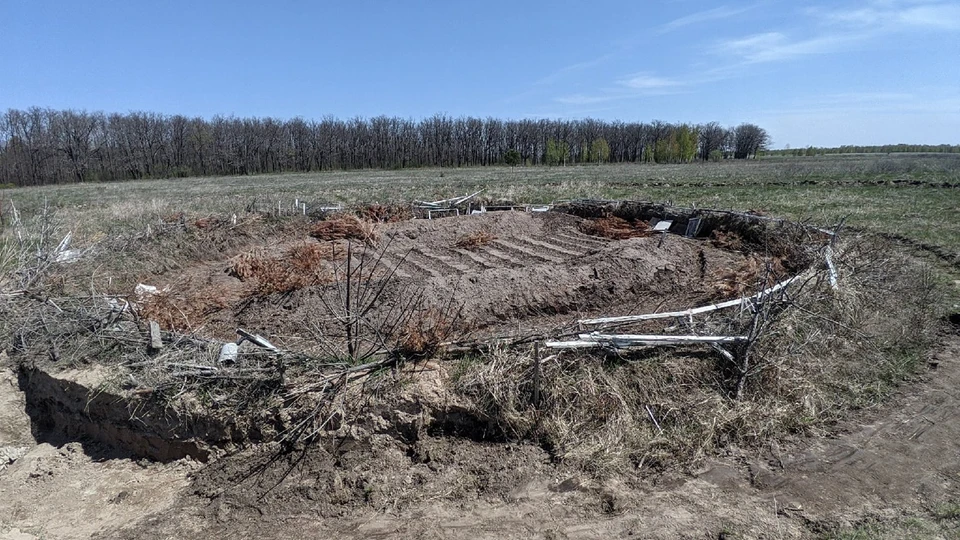 Житель Ульяновска обнаружил на поле в области странные круги