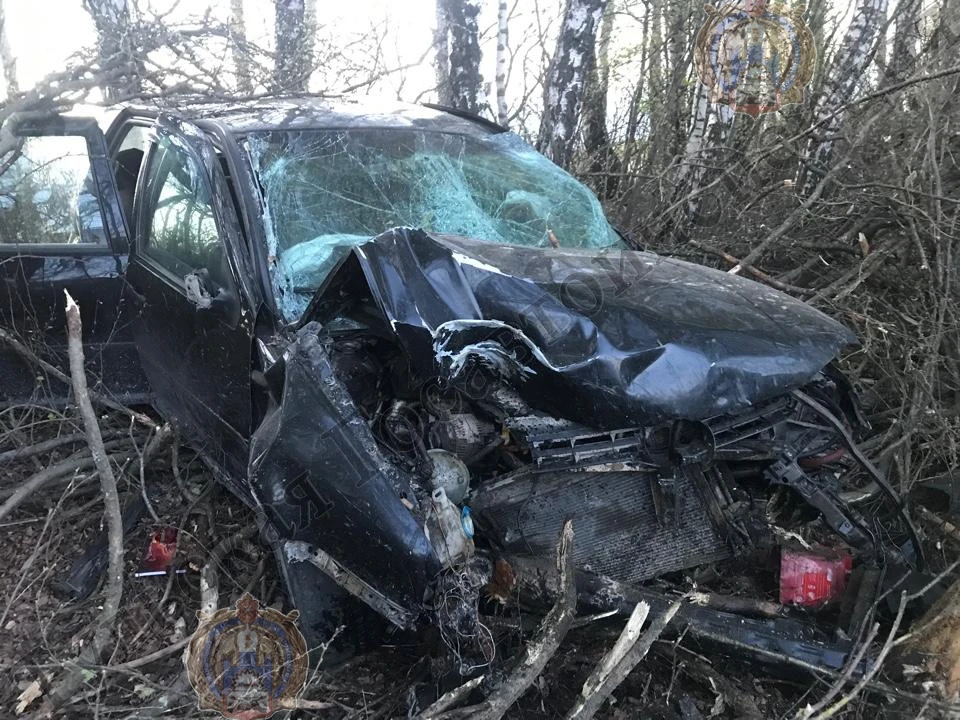 В Тульской области пьяный водитель врезался в дерево: пострадали 4 человека