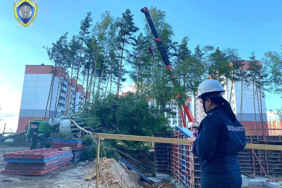В Солигорске погиб 30-летний рабочий, на которого упало дерево из-за сильного ветра. Фото: телеграм-канал Следственного комитета
