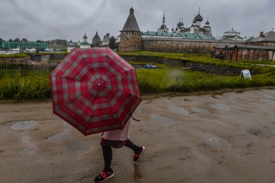 Температурный фон ночью в среднем составит +5, +10 градусов, днем - до +15, +20 градусов