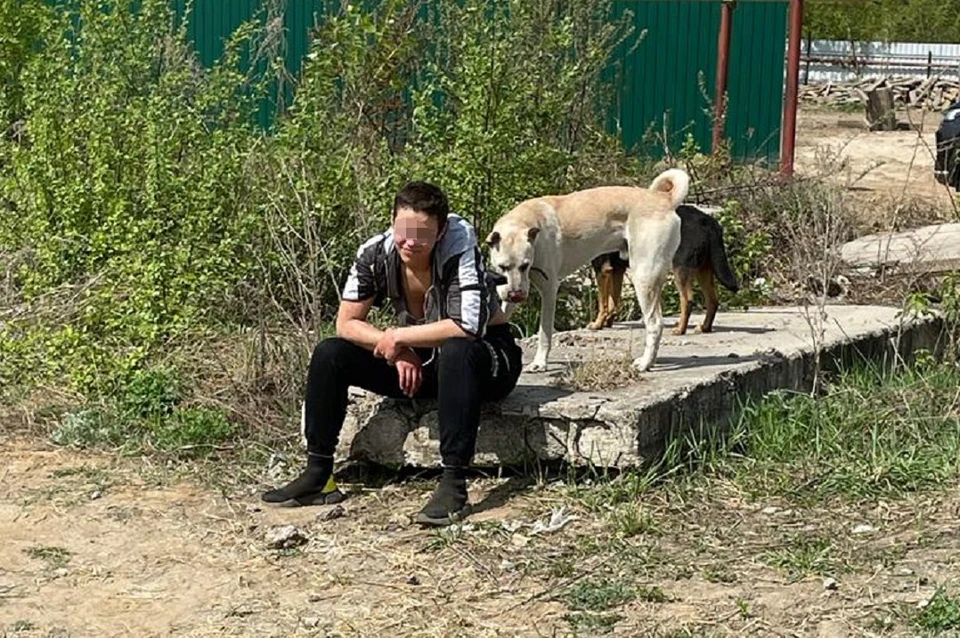 Жители района борются с хозяйкой собак, которая уверена в собственной безнаказанности. Фото: предоставлено героиней публикации.