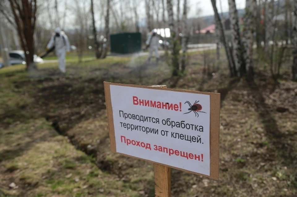 Горячая линия по вопросам профилактики клещевого энцефалита будет работать с 16 по 27 мая по телефонам: 8(3822) 44-67-34, 8(3822) 24-97-18 и 8(3822) 51-05-29.
