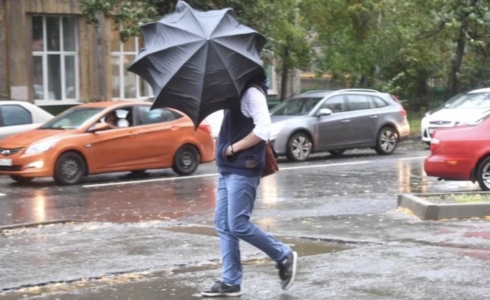 Кратковременные дожди ожидаются в Смоленской области 19 мая.