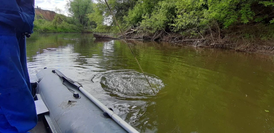 Водолазы искали мужчину под водой, также обследовали водную гладь и прибрежную территорию