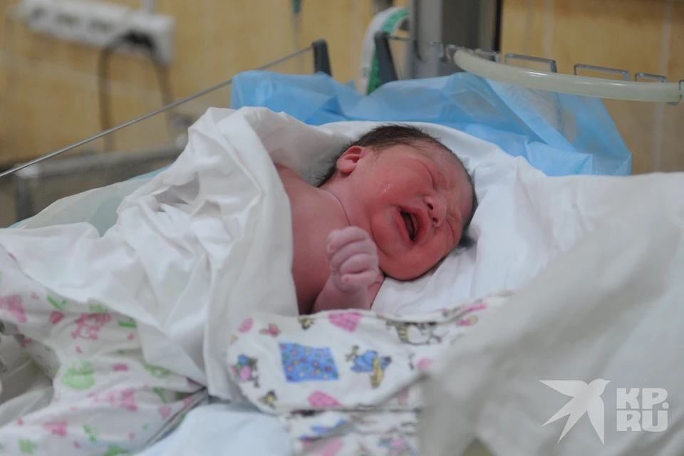 Рождение и смерть через смартфон. Регистрировать новорожденных и умерших в Рязани можно будет онлайн.