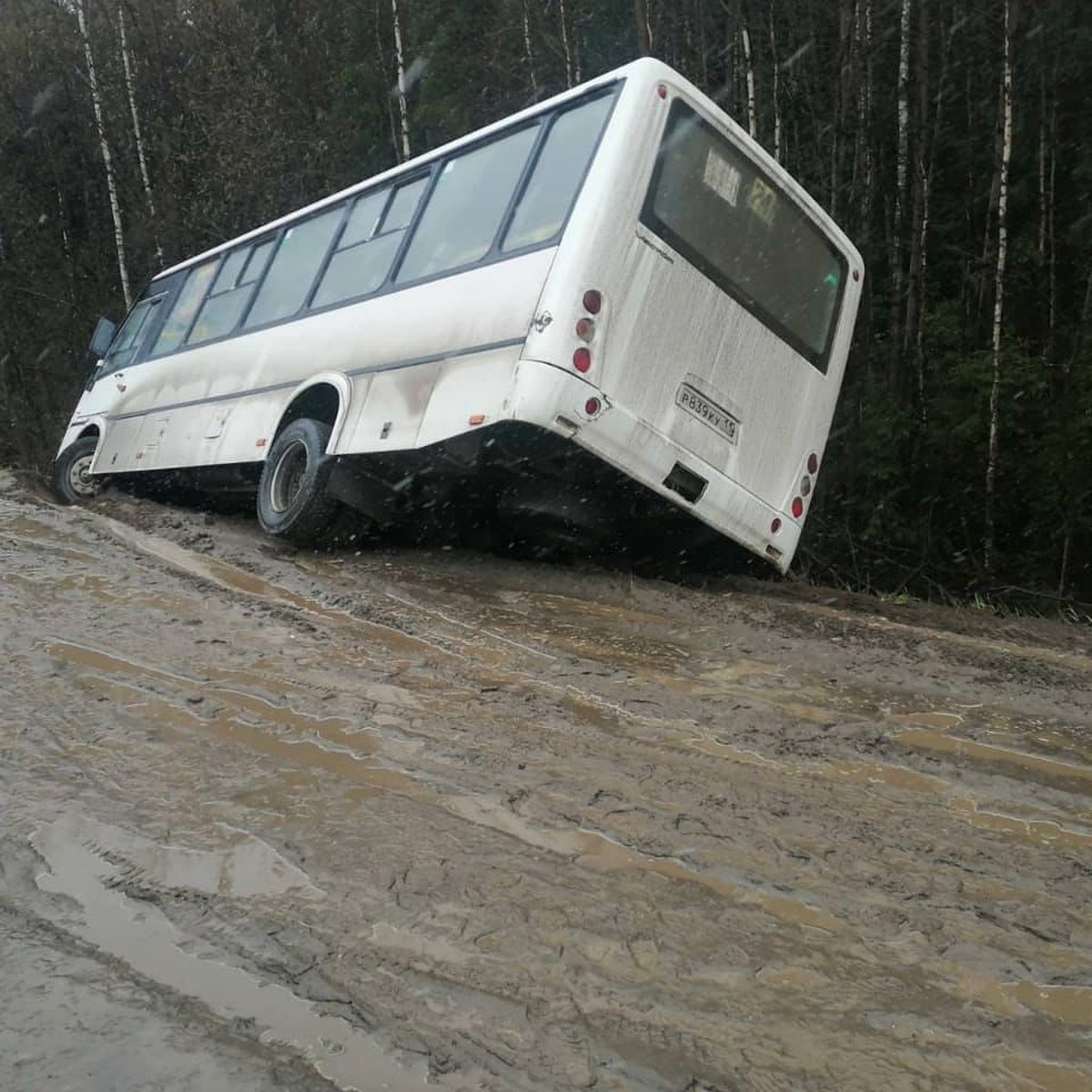 В Сыктывкаре автобус с пассажирами съехал в кювет - KP.RU