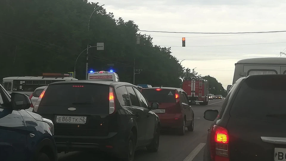 Фото: Анна Позолотина