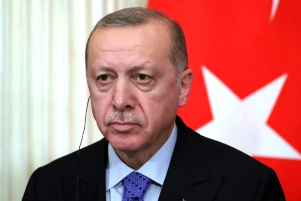 Эрдоган заявил, что Турция не намерена ввязываться в «шоу» по урегулированию на Украине