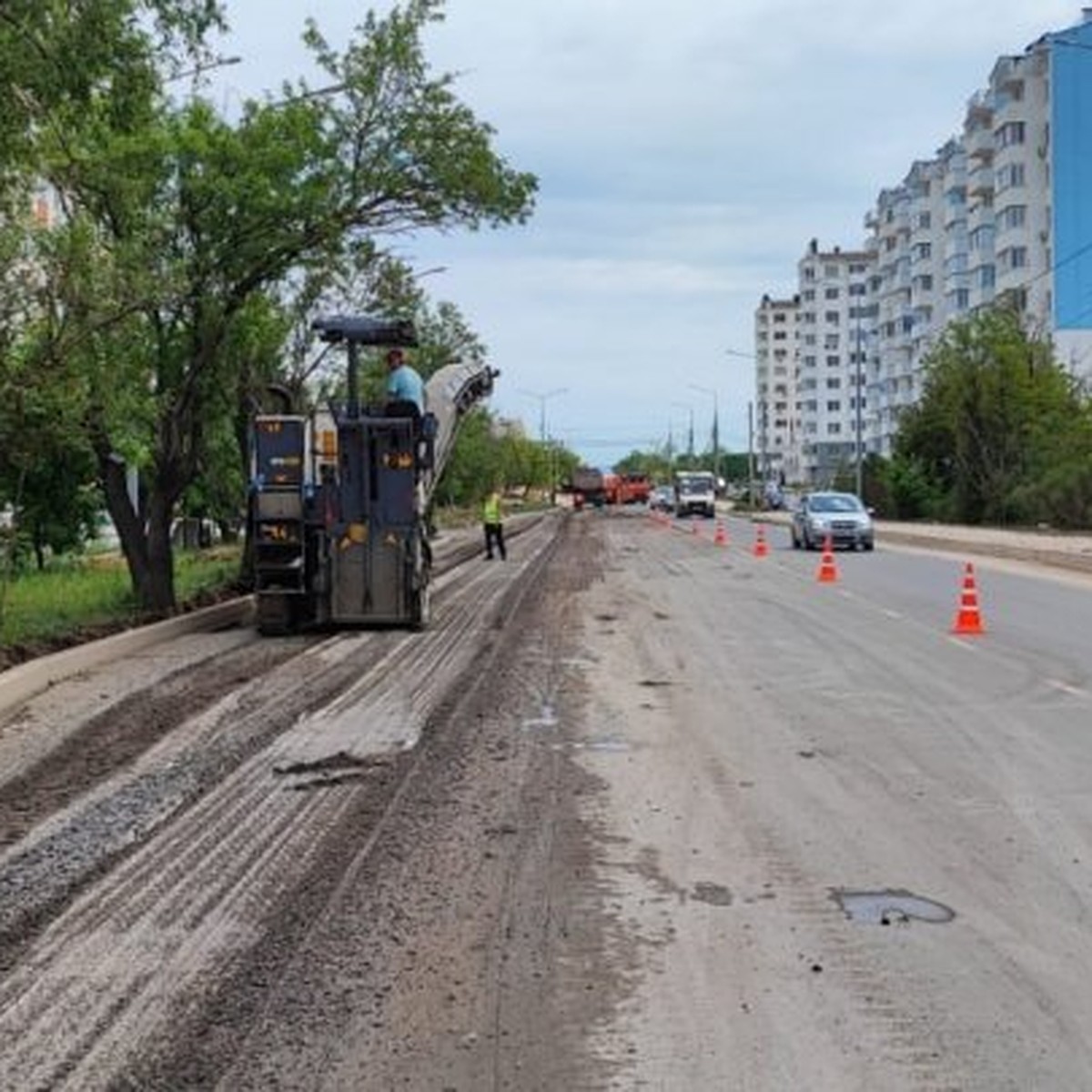 Нашествие гусениц, велодорожка на Горпищенко и освещение улиц - KP.RU