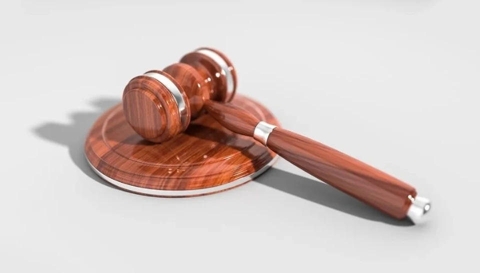 Районный суд приговорил мать к 2,5 годам исправительной колонии общего режима