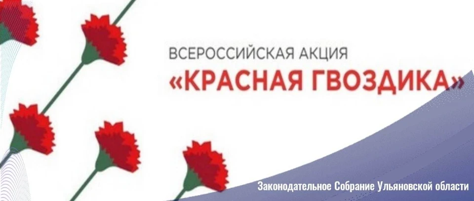 Лагерь академия звезд комнаты. Звездная академия лагерь. Красная гвоздика символ. Лагерь академия звезд в истре. Красная гвоздика символ.