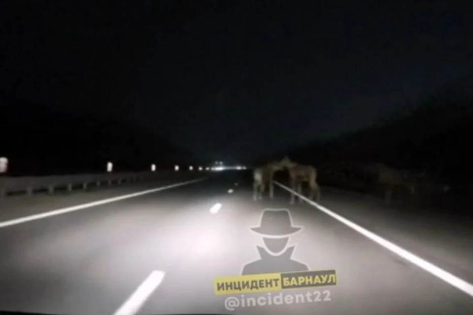 Фото: скриншот с видео "Инцидент Барнаул"