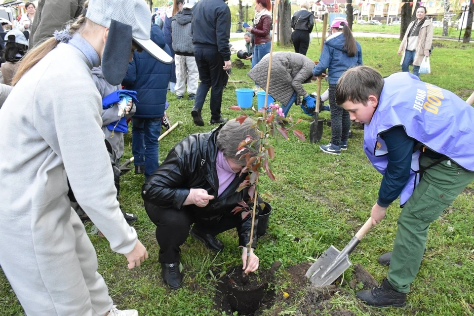 Источник фото: https://adm44.ru