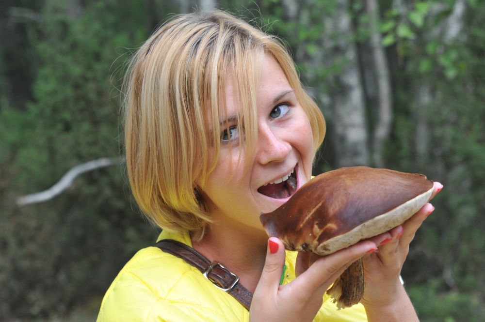 Hlavním pravidlem při sběru hub je, že pokud si nejste jisti jakou houbu, nesbírejte ji a rozhodně nejezte.