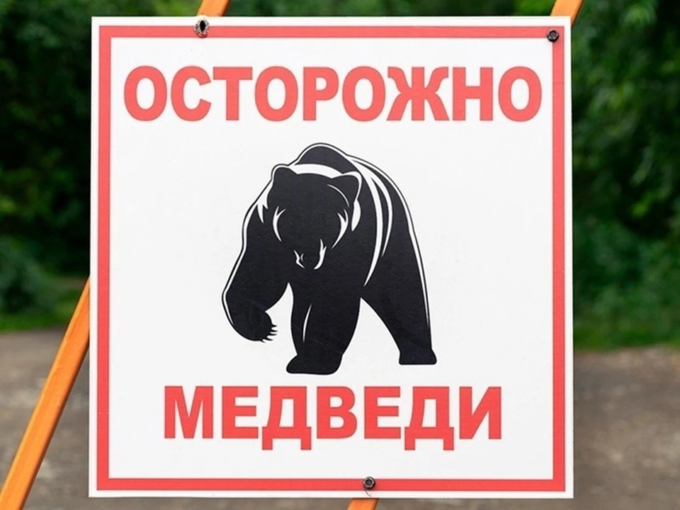 Фото: "Официальный Мегион"