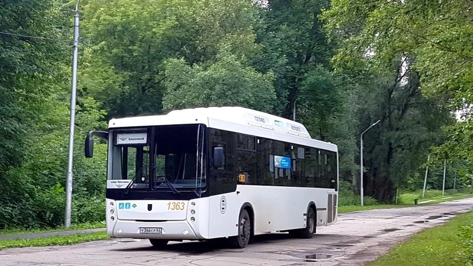 Мэрия запускает в работу летний маршрут до городского пляжа на Ореховом озере. Фото: администрация Рязани.