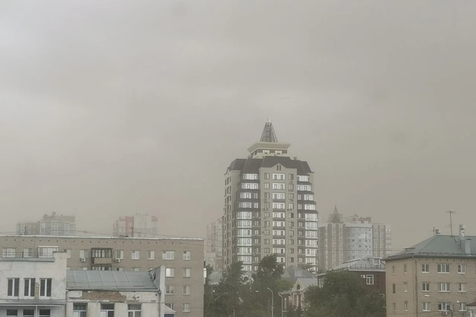 Пылевые вихри в Алтайском крае возникают, вероятнее всего, из-за засушливой погоды