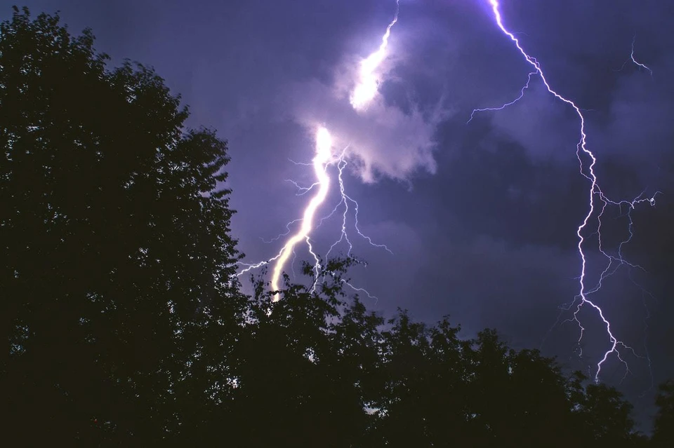 Фото: pexels.com
