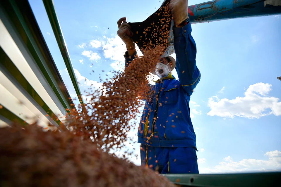 Мировой рынок так устроен, что баланс зерновой, который сложился в последнее время, достаточно напряженный