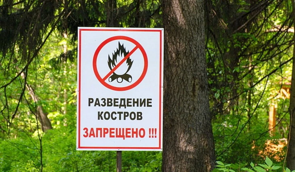 Из-за жары усилят меры по пожарной безопасности. Фото: пресс-служба администрации Сочи.
