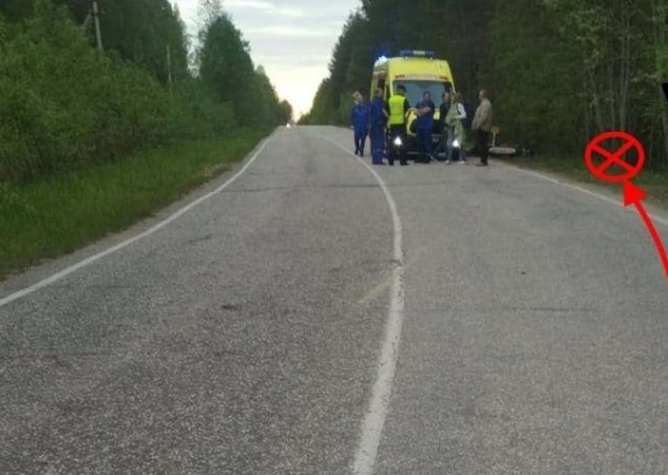Фото: ГИБДД по Коми