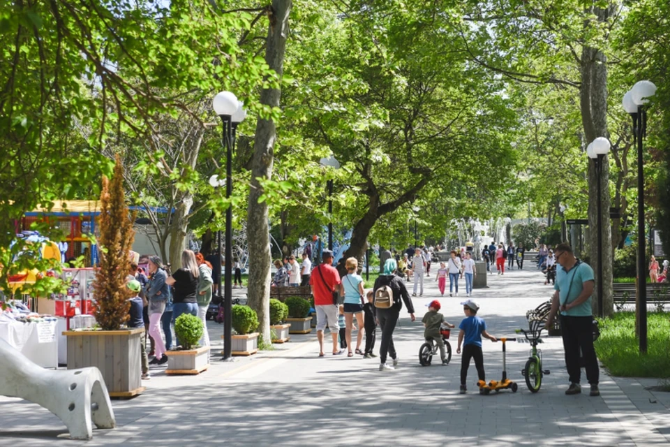 Можно получить помощь на создание бизнеса или на развитие личного подсобного хозяйства