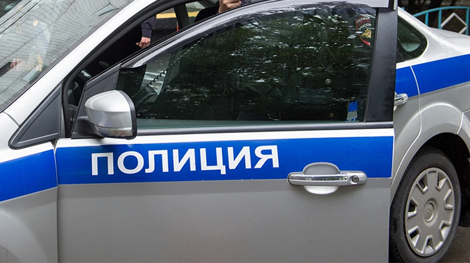 Пьяные женщины устроили массовую драку в центре Москвы.