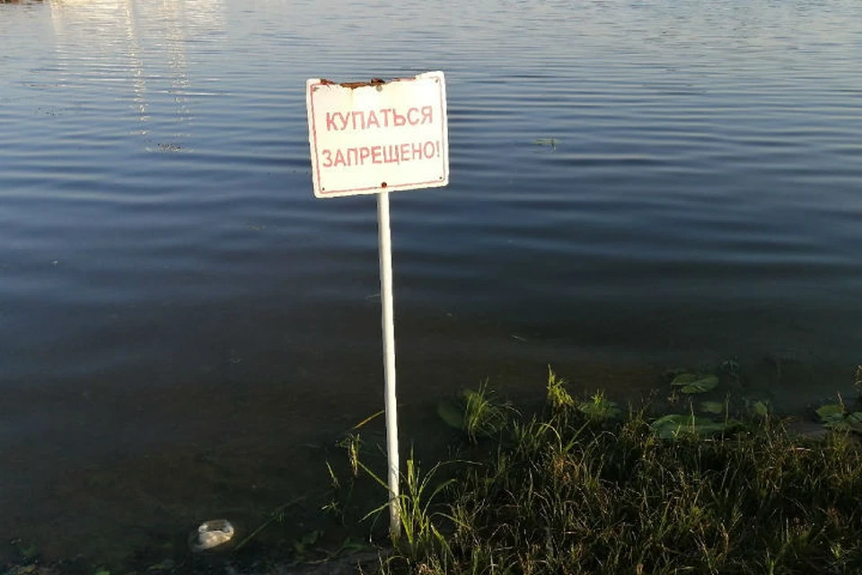 В Ярославле разрешено купаться только в одном месте - на Тверицком пляже