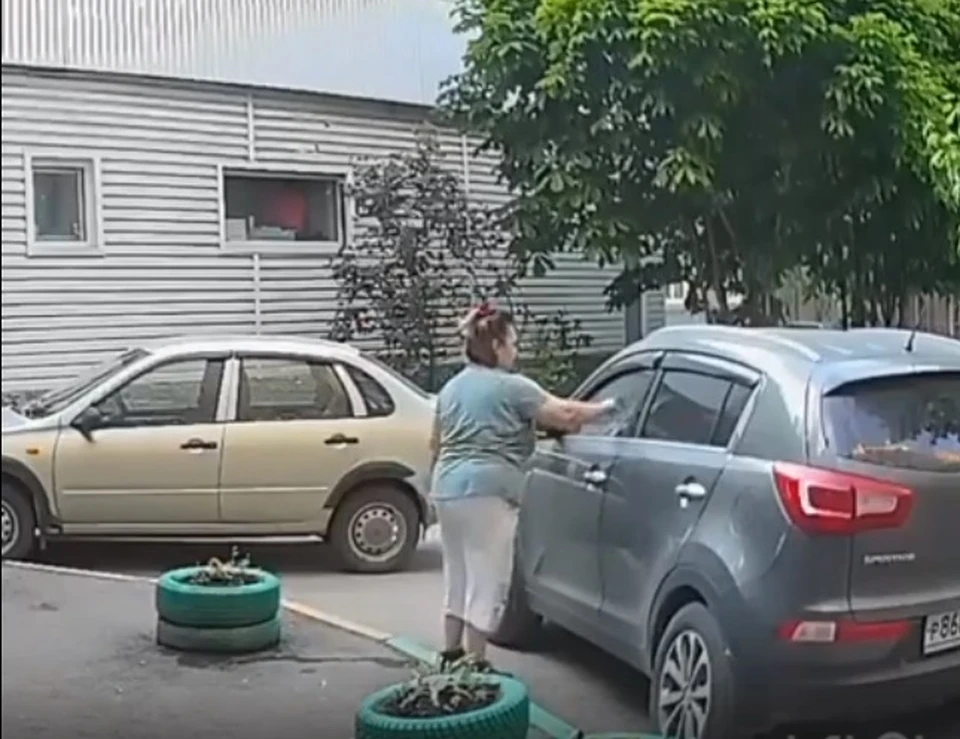 Женщина набрала земли с клумбы и изрисовала чужую машину